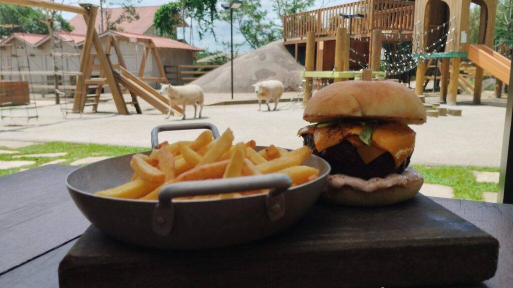 Fazendinha