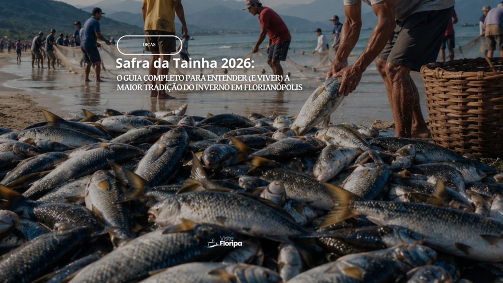 Safra Da Tainha 2026 Em Florianópolis