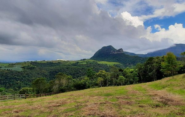 07_Alfredo_Wagner (7)_SITE