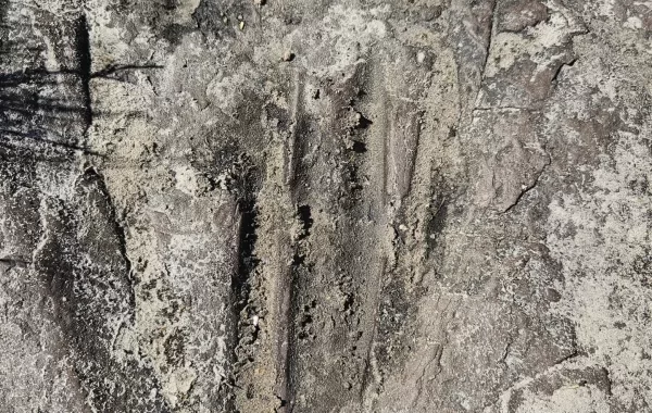 ofinas liticas Joaquina 2