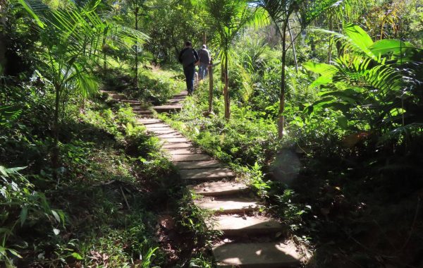 Aldeia Yguá Porã (15)_SITE