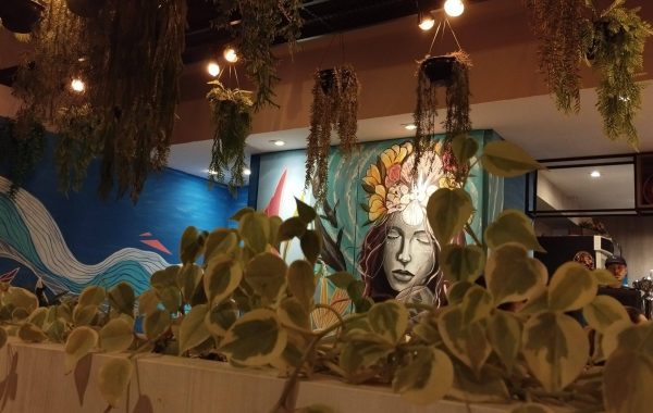 Arquipelago_Lagoa (1)