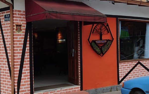 Baum-Platz-Cafe-Bar-3-e1723056277403