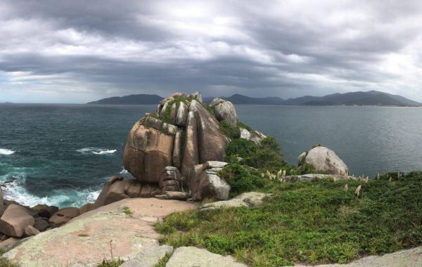 Ilha do Campeche (4)_SITE