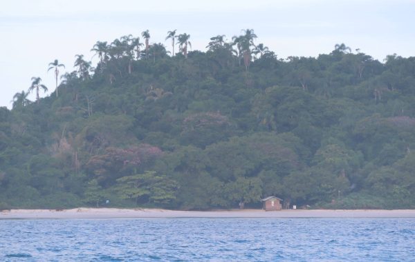 Ilha do Campeche (5)_SITE