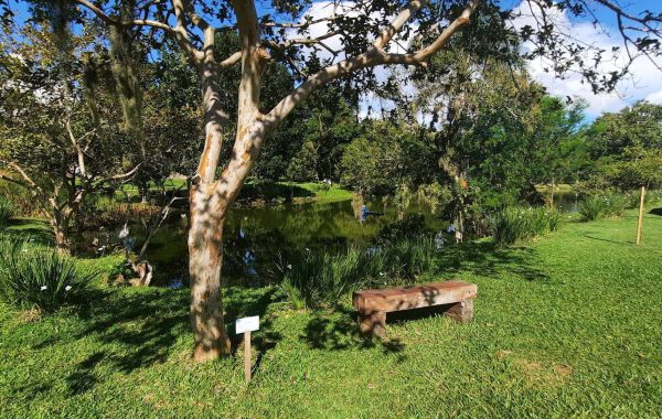 Jardim Botanico (12)_SITE