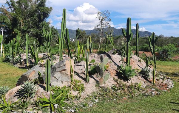 Jardim Botanico (9)_SITE