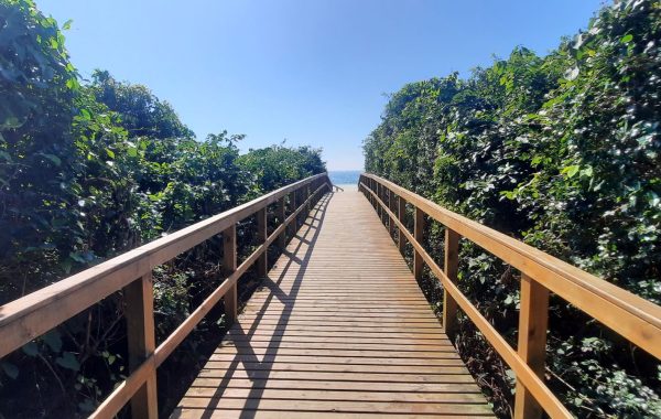 Jurerê_Internacional (11)