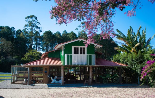 Loja do Holandês com Mini Fazendinha (13)
