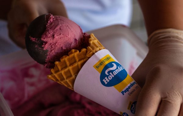 Loja do Holandês com Mini Fazendinha (15)