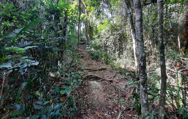 Morro_do_Lampião (52)