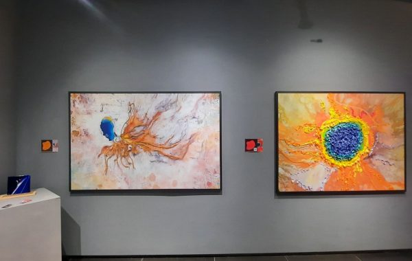 Museu da Imagem do Som (11)