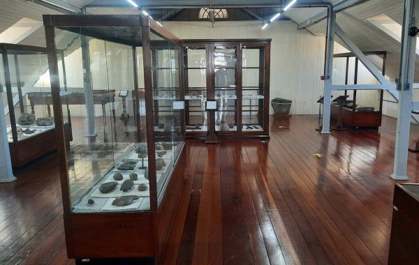 Museu do Homem do Sambaqui (15)