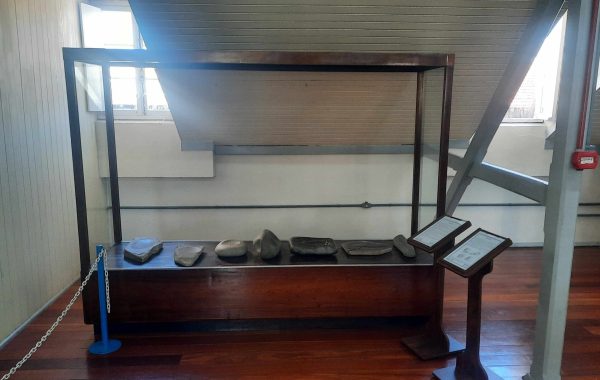 Museu do Homem do Sambaqui (4)