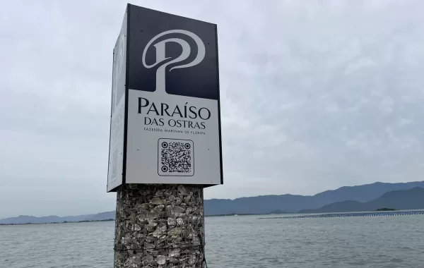 Paraíso das Ostras (1)