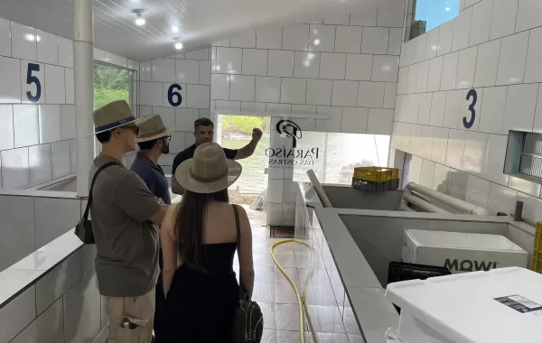 Paraíso das Ostras (18)