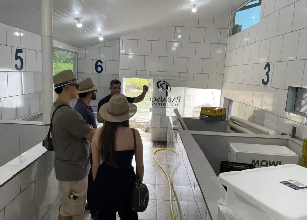 Paraíso das Ostras (18)