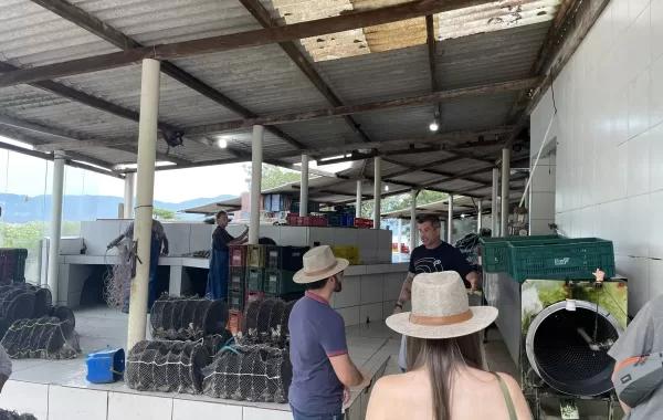 Paraíso das Ostras (19)