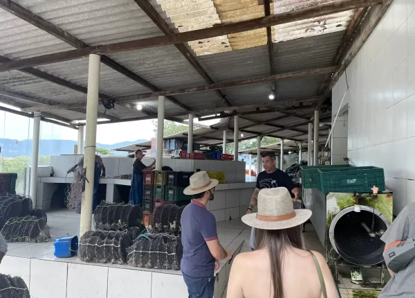 Paraíso das Ostras (19)