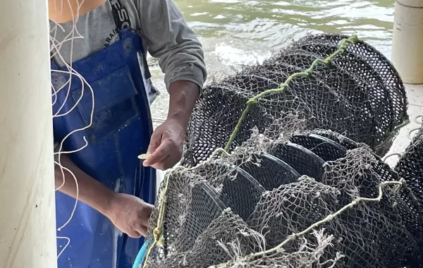 Paraíso das Ostras (20)