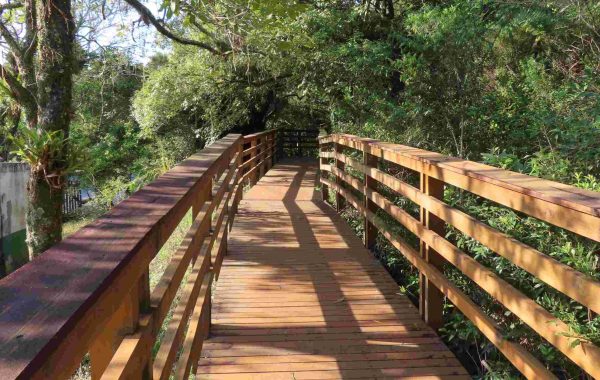 Parque Estadual do Rio Vermeho_12jun24 (10)