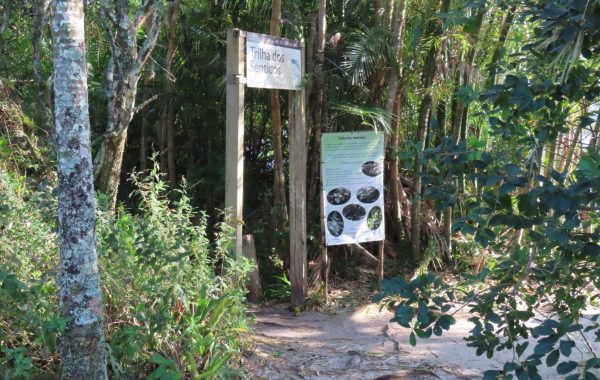 Parque Estadual do Rio Vermeho_12jun24 (23)