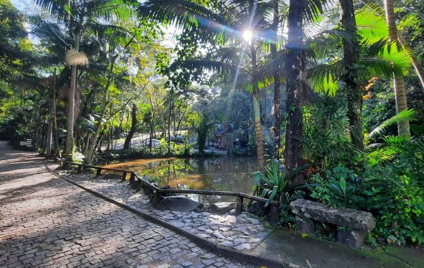 Parque Municipal do Córrego Grande (4)