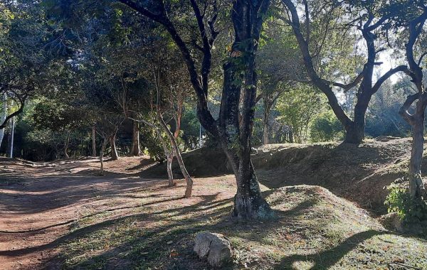 Parque da Luz (2)_VisiteFloripa