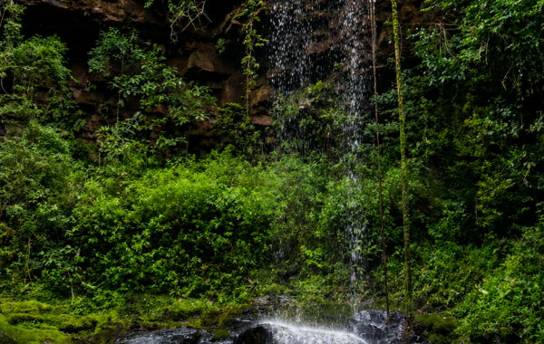 Parque da Montanha (4)