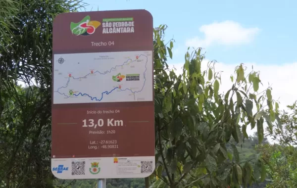 Pedal_Ciclo_SPA_13out24 (290)