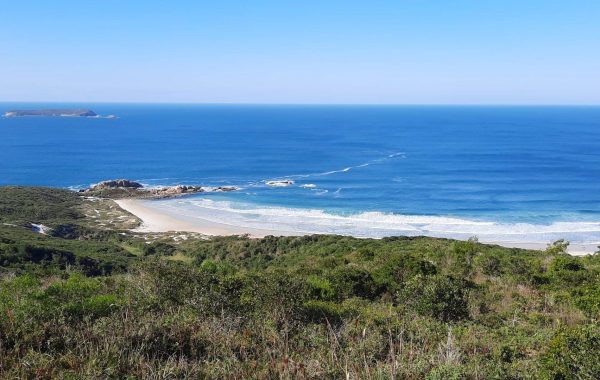Praia da Galheta (2)_SITE