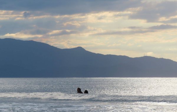 Praia da Lagoinha de Ponta das Canas (7)_SITE