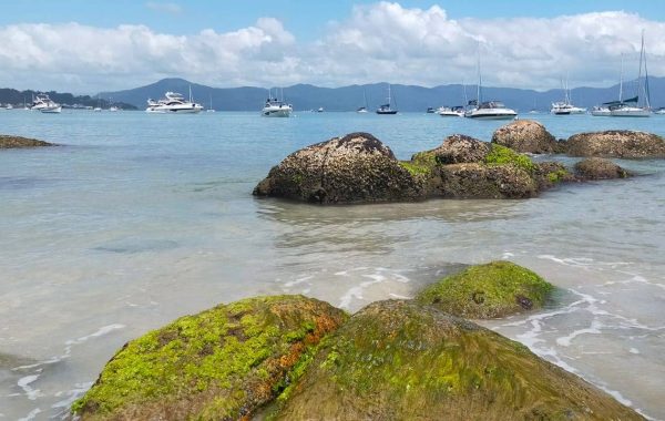 Praia de Jurere (2)_SITE