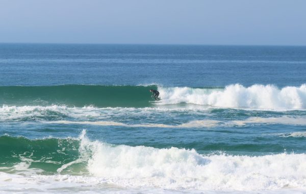 Praia do Mocambique (13)