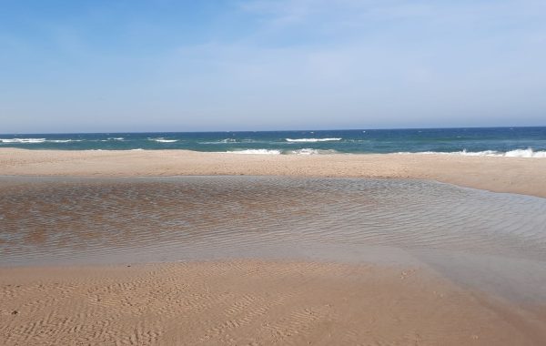 Praia do Riozinho (14)