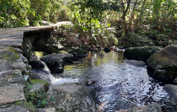 Praia do Saquinho (15)