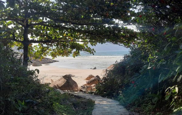 Praia do Saquinho (16)