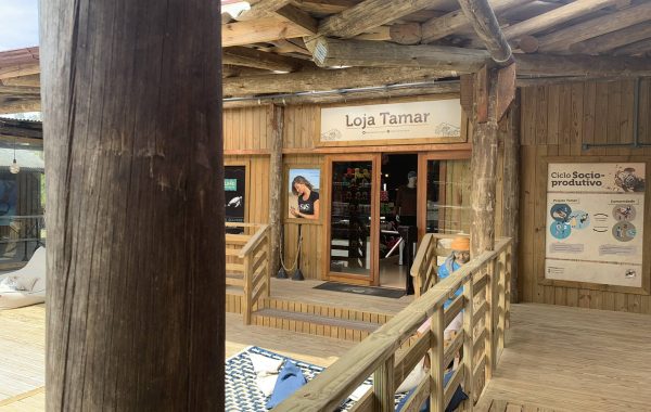 Projeto Tamar (5)