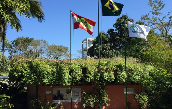 Projeto_Lontras (2A)_SITE