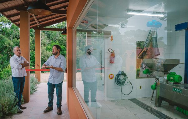 Quinta do Vienzo (3)