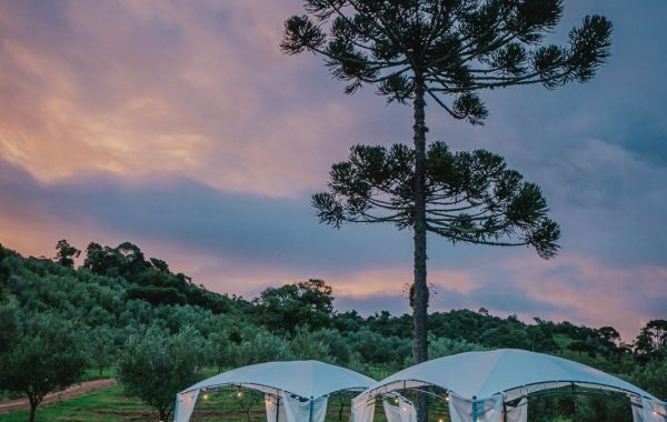 Quinta do Vienzo (4)