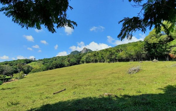 Trilha da Pedra Branca (1)_SITE