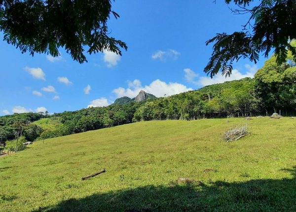 Trilha da Pedra Branca (1)_SITE