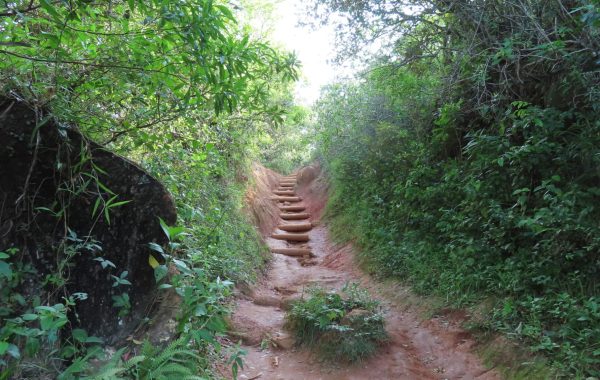 Trilha da Praia do Gravata (11)