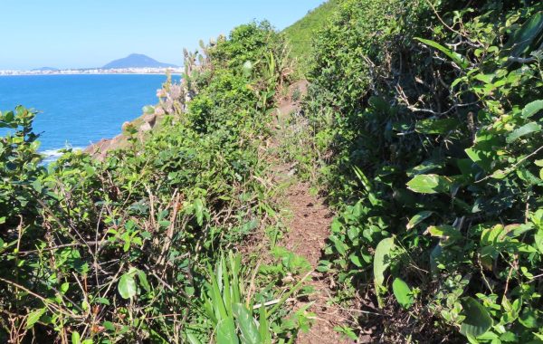 rilha da Praia dos Ingleses até a Praia Brava 13