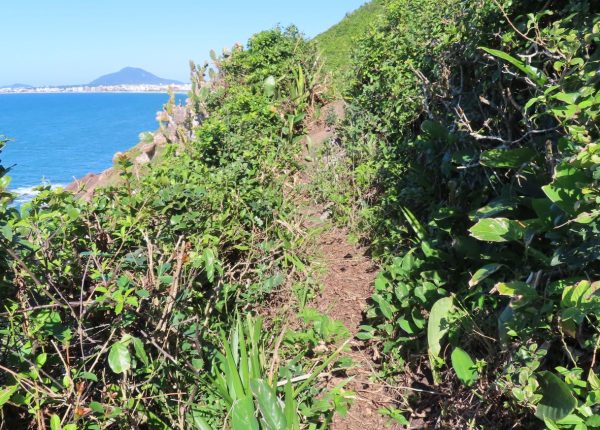 rilha da Praia dos Ingleses até a Praia Brava 13