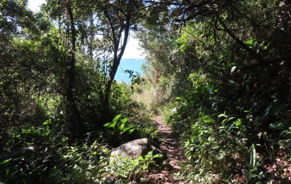 Trilha da Praia dos Ingleses até a Praia Brava