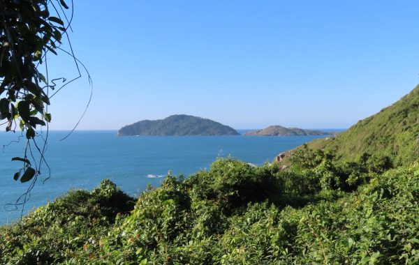 Trilha do Morro das Aranhas (2)