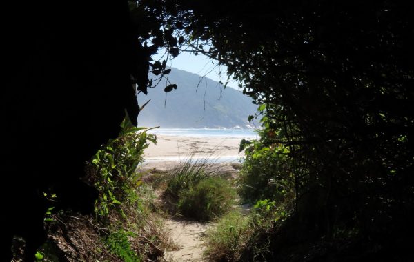 Trilha do Morro das Feiticeiras (10)