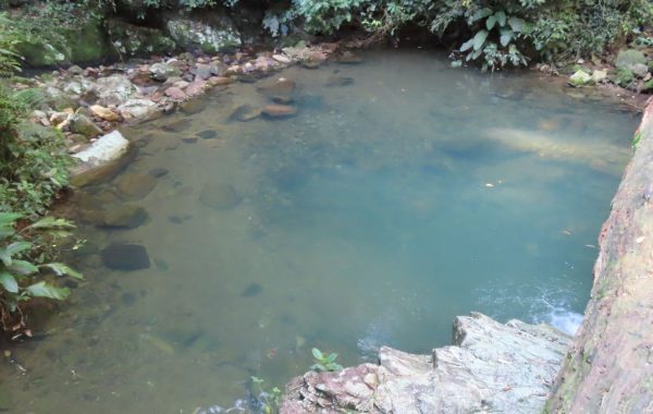 Trilha do Poção (16)